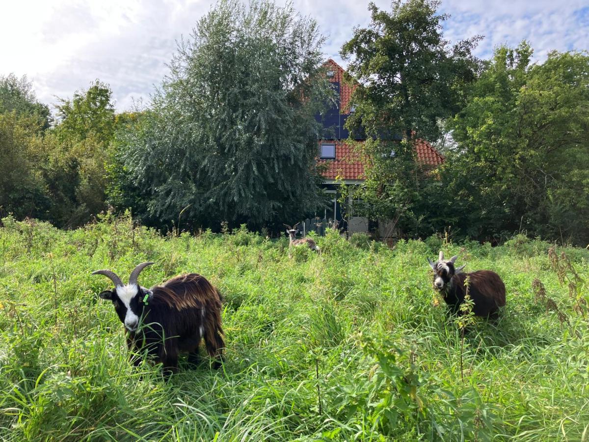 Inn Het Nest Amsterdam Buitenkant foto